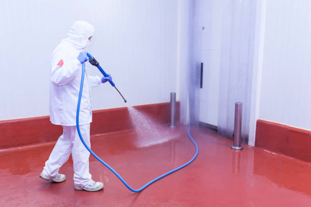 Best Rust Removal  in West Perrine, FL